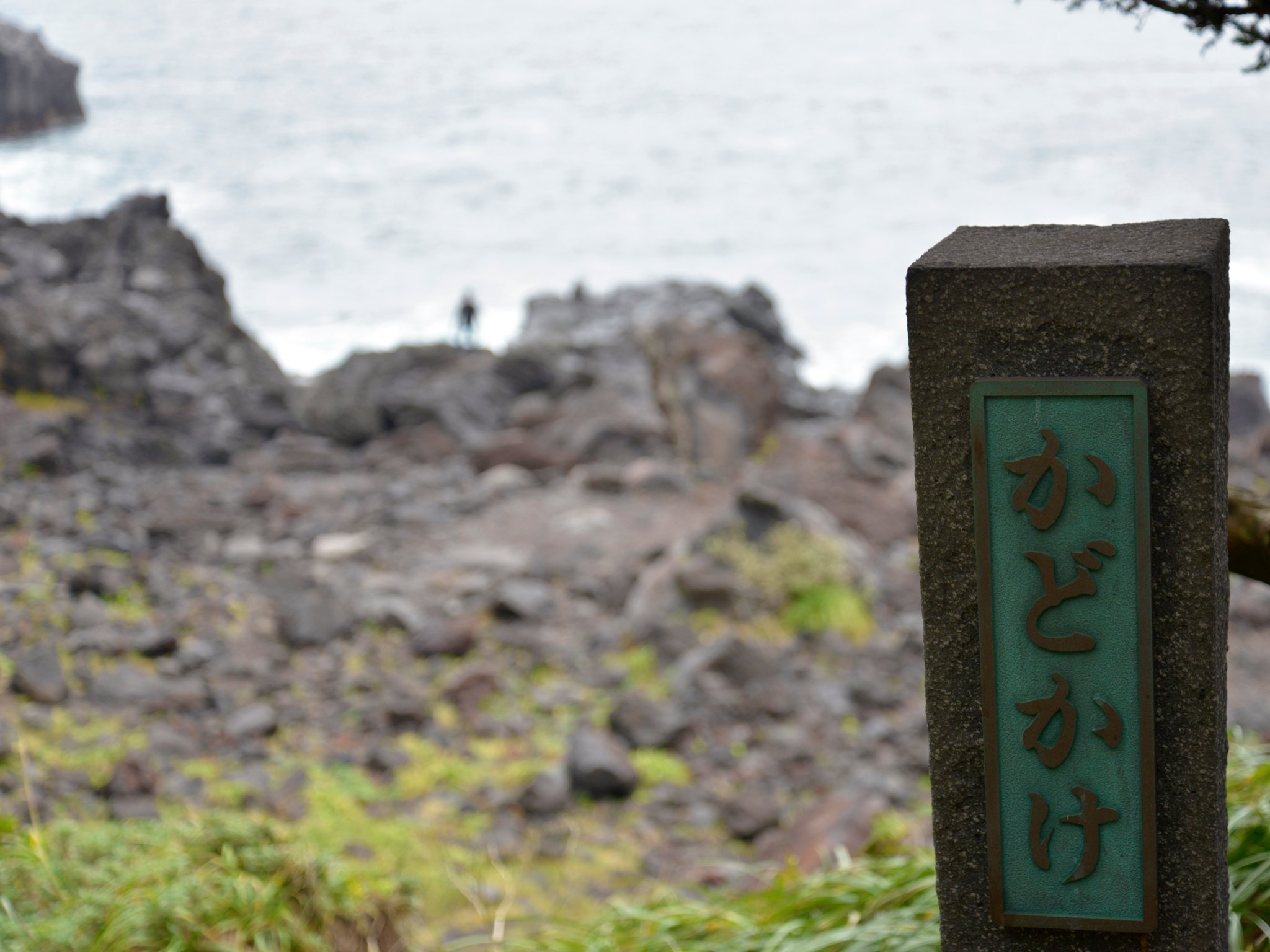 伊豆