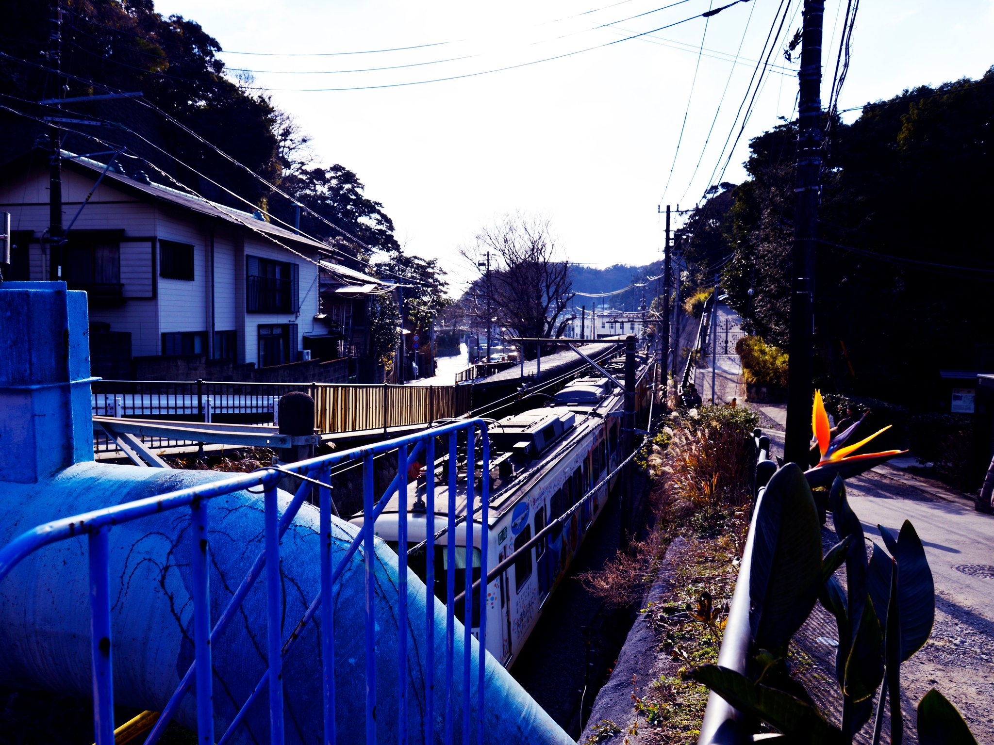 極楽寺