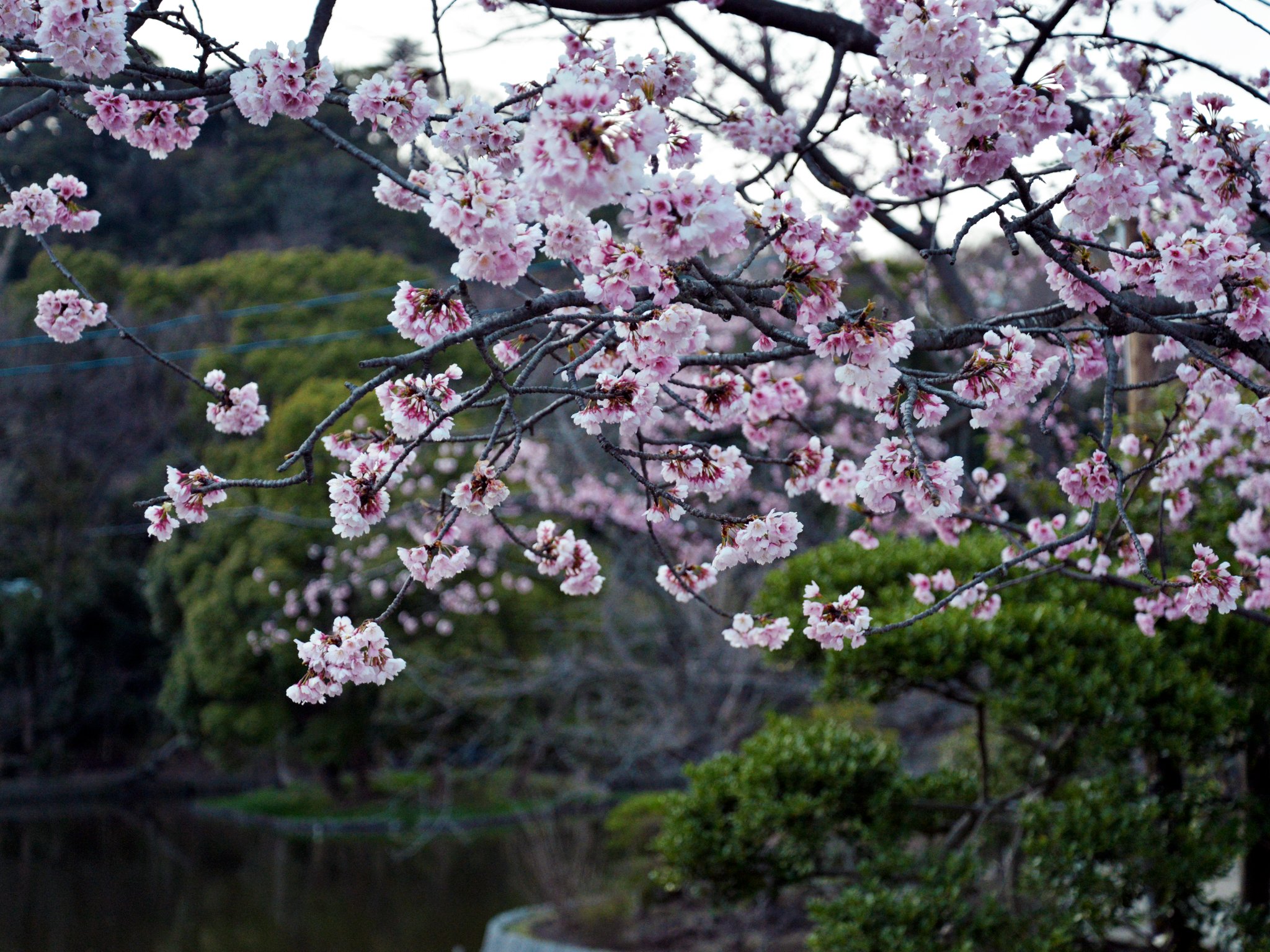 江ノ島